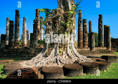 Vecchi templi buddisti rovine di Sukhothai, Thailandia. Foto Stock