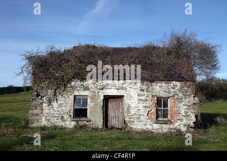 Cottage abbandonati, tipico delle fattorie abbandonate durante la Grande carestia nel XIX secolo. Foto Stock