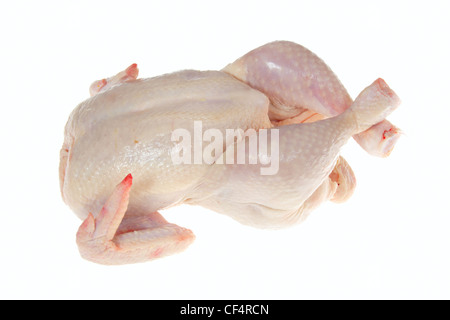 Il pollo crudo foto sullo sfondo bianco Foto Stock