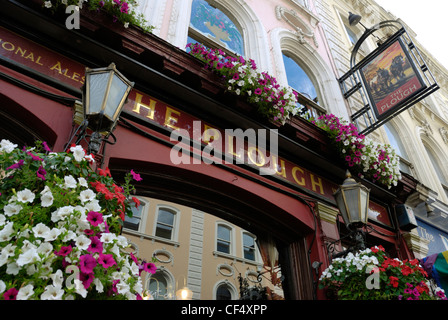 Nei cestini appesi di fiori al di fuori dell'aratro public house Museum Street. Foto Stock