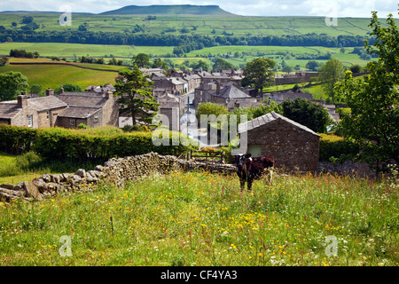 Una mucca al pascolo nei pascoli sopra il villaggio Askrigg, Wensleydale, in Yorkshire Dales. Foto Stock