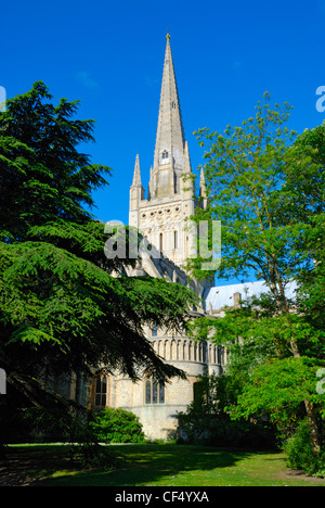 Norwich Cathedral, una chiesa di Inghilterra Cattedrale con una bella torre normanna, terminata nel 1145. Foto Stock