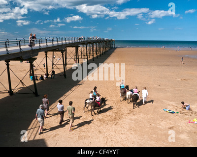 Asino passeggiate sulla spiaggia dal molo vittoriano a Saltburn-By-The-Sea. Foto Stock