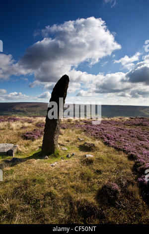 Pietra permanente che si affaccia il Rosedale on Blakey Ridge in North York Moors National Park. Foto Stock