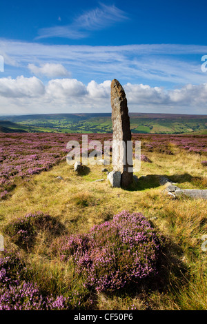 Pietra permanente che si affaccia Farndale su Blakey Ridge in North York Moors National Park. Foto Stock