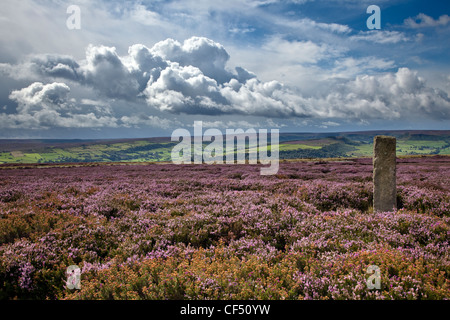 Pietra in piedi vicino a Danby Faro sulla Lealholm alta Moor nel North York Moors National Park. Foto Stock