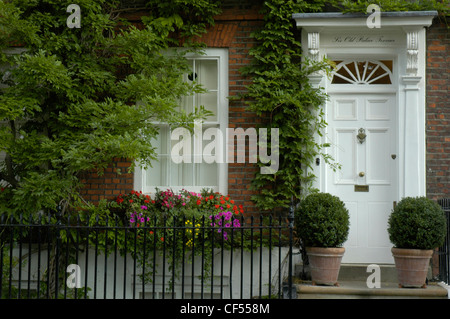 Ivy crescente sul lato di una elegante casa con porta bianca accanto a Richmond Green. Foto Stock