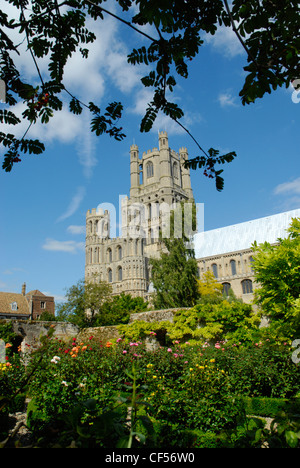 Una vista dal giardino monastico alla Cattedrale di Ely a sud-ovest del transetto. Foto Stock