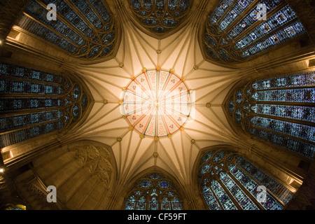 Il bellissimo fan-soffitto a volta e le finestre di vetro macchiate nella Chapter House, York Minster e York Foto Stock