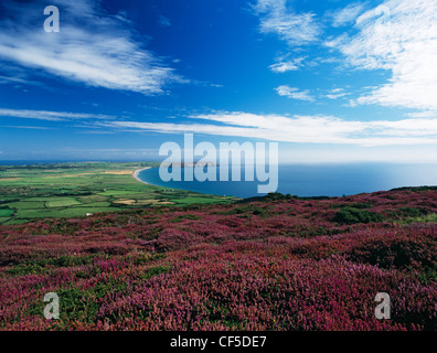 Bell heather in fiore sulle pendici di Mynydd Rhiw con terreno coltivabile, dune, la Lleyn sentiero costiero e inferno la bocca inferiore. Contenere Foto Stock