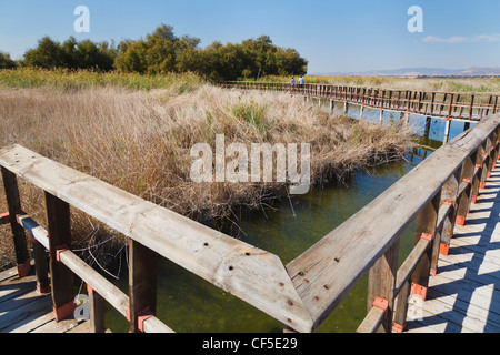 Passerelle in legno attraverso il Parque Nacional Tablas de Daimiel. Tablas de Daimiel Parco Nazionale. Ciudad Real Provincia, Spagna. Foto Stock