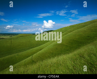 Guardando oltre la mangiatoia o anello Pit sotto il chalk figura intagliata sulla collina di White Horse Hill con il flat-sormontato mound Foto Stock