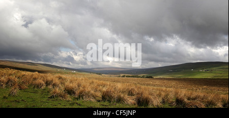 Durham Dales panoramico con colline e valli con scrubby erbe in primo piano Foto Stock