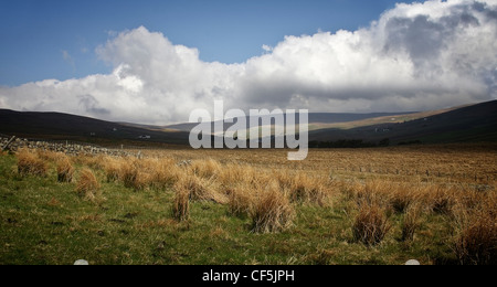 Panoramica della Durham Dales compresi brughiera, valli, colline e montagne comprese Teesdale e Weardale nel Penines Foto Stock