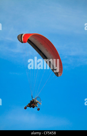 Potenza di coppia parapendio in alto il cielo blu appeso sotto un rosso e blu parachute Foto Stock