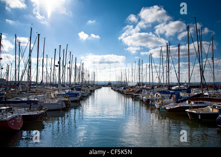 Barche ormeggiate nel porto di Poole Quay Boat Haven. Foto Stock