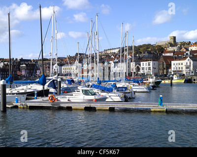 Una vista in Scarborough marina yacht. Foto Stock