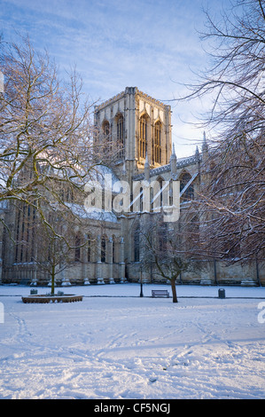 La neve che ricopre il suolo di presidi Park e York Minster, una delle più grandi cattedrali gotiche nel Nord Europa. Foto Stock