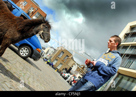 Un venditore tiene il suo pony su una fune a cavallo di Smithfield Market in Dublin. Foto Stock