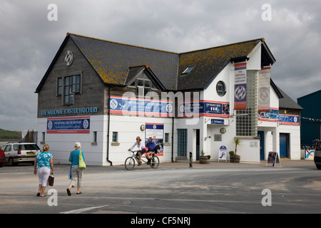 Il National Lobster Hatchery a Padstow, Cornwall Foto Stock