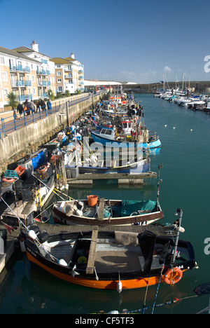 Piccole barche da pesca ormeggiate in Brighton Marina. Foto Stock