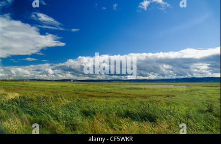 Vista su Dee Estuary dai Parkgate sulla penisola di Wirral. Foto Stock