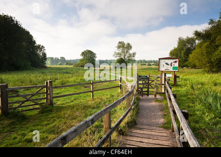 Una passerella in legno che conduce alla vacca Chilbolton comune. Foto Stock