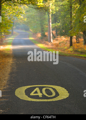 40 mph segnale di limite di velocità dipinta su una strada nel nuovo Parco Nazionale Foreste. Foto Stock