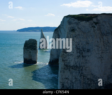 I Pinnacoli dal vecchio Harry rocce. Il risultato di erosione del gesso per formare archi e mare pile a Studland in Purbeck. Foto Stock