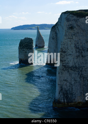 I Pinnacoli dal vecchio Harry rocce. Il risultato di erosione del gesso per formare archi e mare pile a Studland in Purbeck. Foto Stock