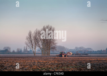 Un trattore aratura di brina campo coperto di prima mattina. Foto Stock