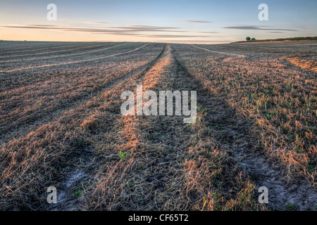 Aratro linee in un campo. Foto Stock