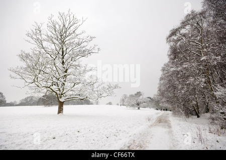 Le persone fanno il loro cammino lungo una coperta di neve il percorso in estreme condizioni invernali. Foto Stock