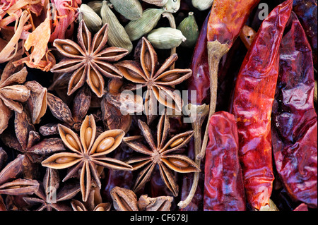 Cucina indiana spezie pattern. Piatto fotografia laici da sopra Foto Stock