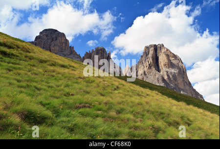 Pendenza di erba sotto il monte Sassolungo, Dolomiti italiane Foto Stock