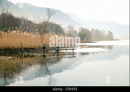 Una vista di Derwent Water nel distretto del lago. Il lago è di forma oblunga ed è il Distretto del Lago il terzo lago più grande dove la sua Foto Stock