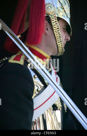 Queens bagnino di turno con la spada. Ci sono due smontata sentinelle della guardia di turno fino a quando le porte sono chiuse a 8pm, WH Foto Stock