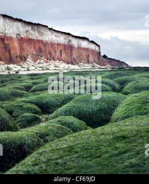 Una vista su roccia per le scogliere a Hunstanton. Una volta descritto come "l'uomo povero San Moritz", la città era visto come un ideale plac Foto Stock