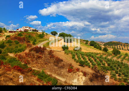 Casa bianca sulla collina con alberi e cespugli. Accanto alla casa è strada che corre verso il basso. Foto Stock