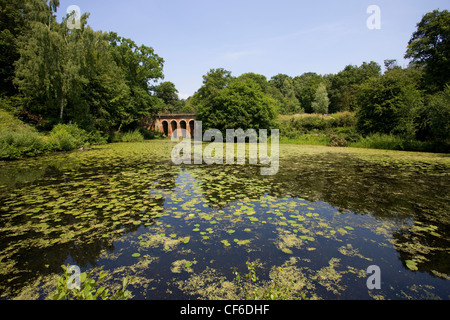 Ninfee galleggianti su un laghetto dal ponte noto localmente come 'Gli Archi Rossi " o " il viadotto' su Hampstead Heath. Foto Stock