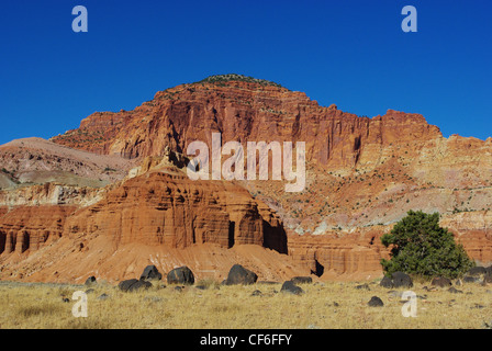 Un po' di nero e un po' di verde con un sacco di rosso e blu vicino a Torrey, Fishlake National Forest, Utah Foto Stock