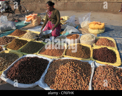 India, Delhi, Vecchia Delhi, street market, frutta secca, fornitore Foto Stock