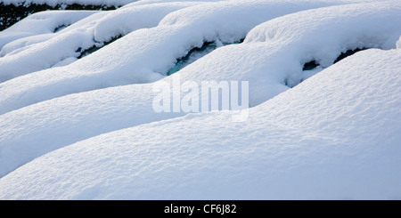 Dormansland, Surrey, Inghilterra. Fila di automobili parcheggiate coperto di neve spessa dopo una bufera di neve. Foto Stock