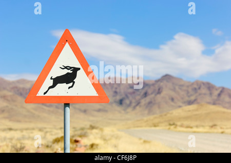 Kudu segno di attraversamento lungo una strada di ghiaia. Namibia Foto Stock