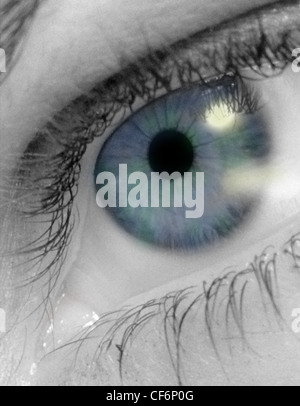 Occhio, Femmina, close-up, drammatico, tonica in scala di grigi, pupilla è colorato Foto Stock