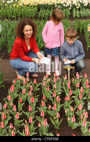 Madre e figlio e figlia in serra guardando i tulipani, ragazzo per iscritto le informazioni circa i fiori dalla piastra Foto Stock