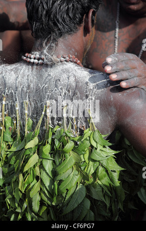 Devoto avente torna perforati durante Thaipusam festival indù a Grotte Batu di Kuala Lumpur in Malesia Foto Stock