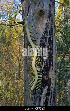 C è per Centipede. Alfabeto del Sentiero delle sculture, boschi a serpentina, Fellside, Kendal Cumbria, England, Regno Unito, Europa. Foto Stock