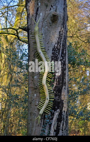 C è per Centipede. Alfabeto del Sentiero delle sculture, boschi a serpentina, Fellside, Kendal Cumbria, England, Regno Unito, Europa. Foto Stock