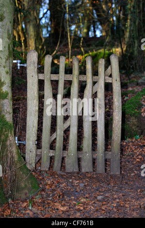 G è per il cancello. Alfabeto del Sentiero delle sculture, boschi a serpentina, Fellside, Kendal Cumbria, England, Regno Unito, Europa. Foto Stock